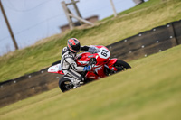 PJ-Motorsport-2019;anglesey-no-limits-trackday;anglesey-photographs;anglesey-trackday-photographs;enduro-digital-images;event-digital-images;eventdigitalimages;no-limits-trackdays;peter-wileman-photography;racing-digital-images;trac-mon;trackday-digital-images;trackday-photos;ty-croes